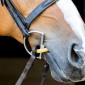 ThinLine Bridle Busy Buddy - Acalmar os cavalos