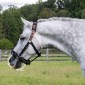 ThinLine® Grazing Basket