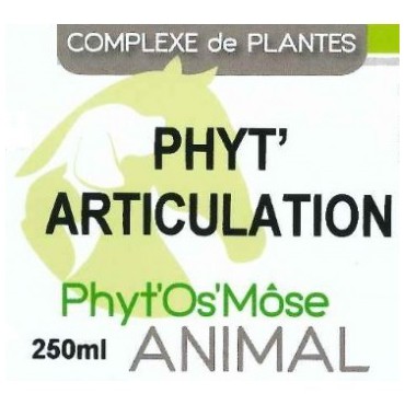 Phyt'articulation