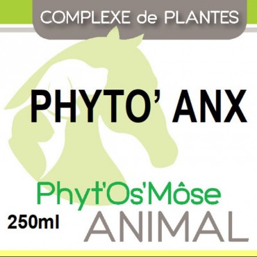 Phyto Anx

Fito Ansiedad