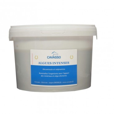 Algas Intensas Premium Cubo de 2,5 kg