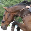 Pack de manejo del estrés para concursos